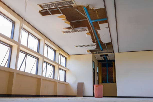 Best Water damage mitigation services  in Taylor, PA