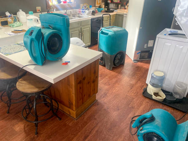 Best Flooded house restoration  in Taylor, PA