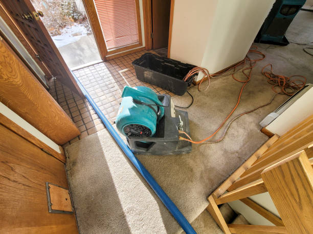 Best Emergency water extraction  in Taylor, PA