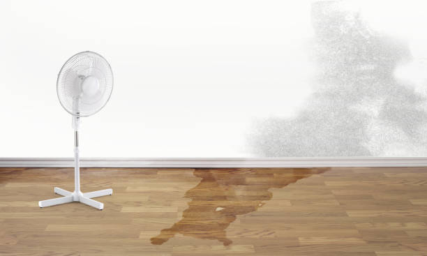 Best Water damage restoration company  in Taylor, PA