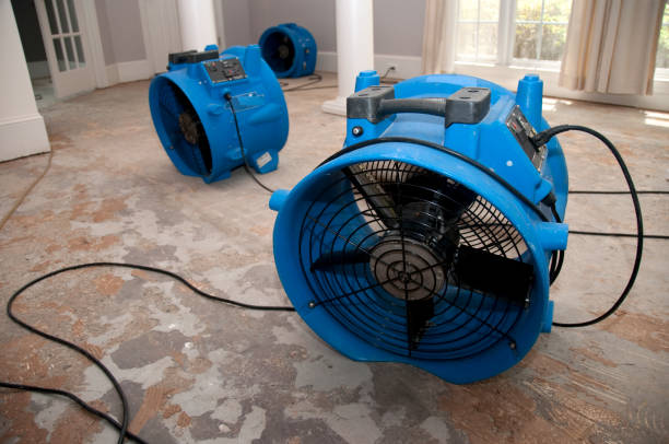 Best Local water damage restoration  in Taylor, PA